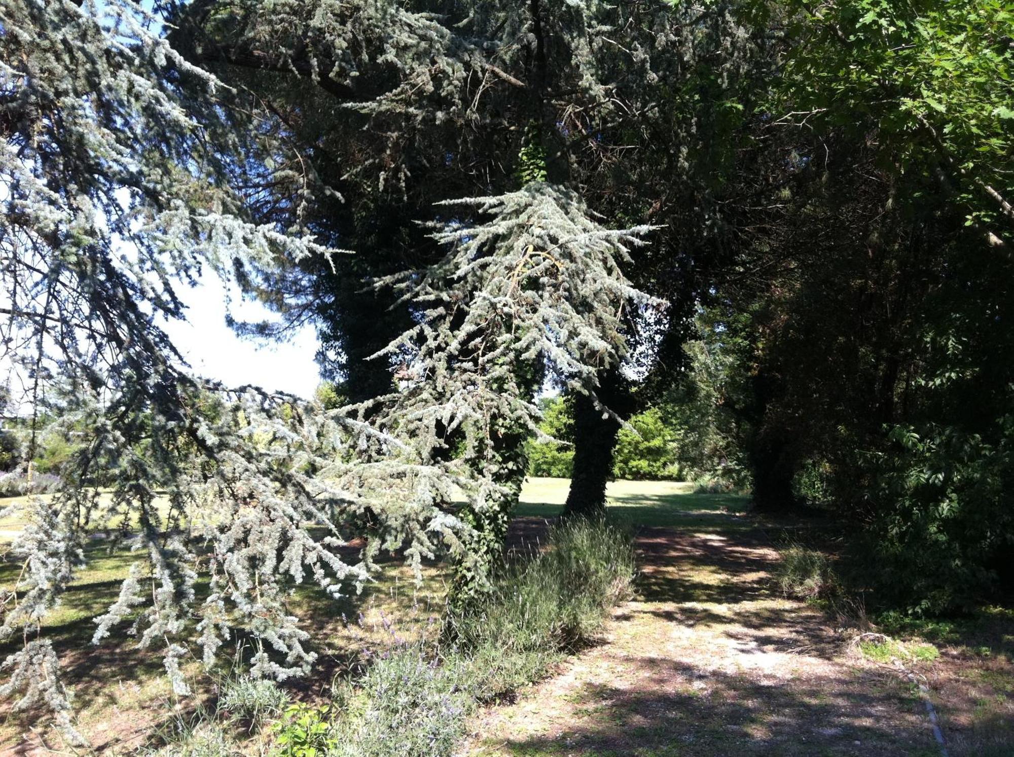 Villa Carrer Porto Viro Eksteriør bilde