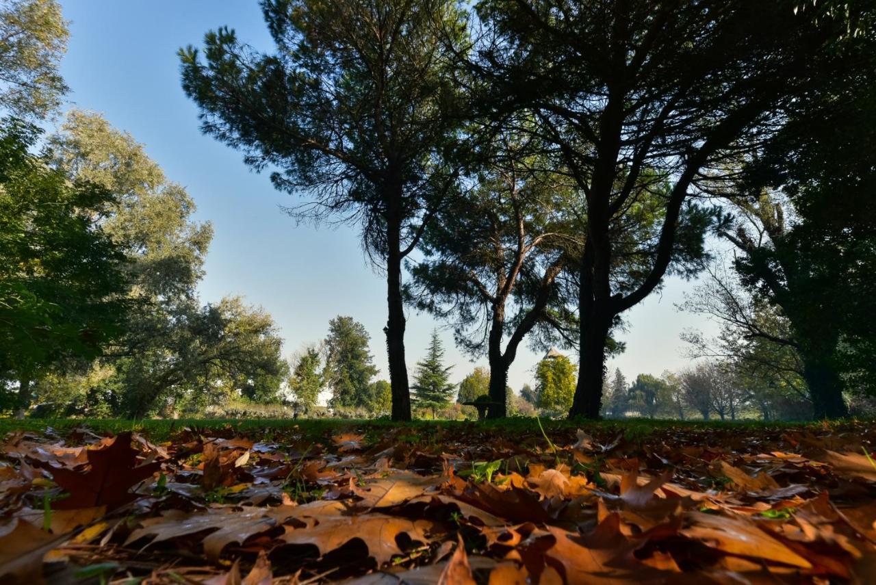 Villa Carrer Porto Viro Eksteriør bilde